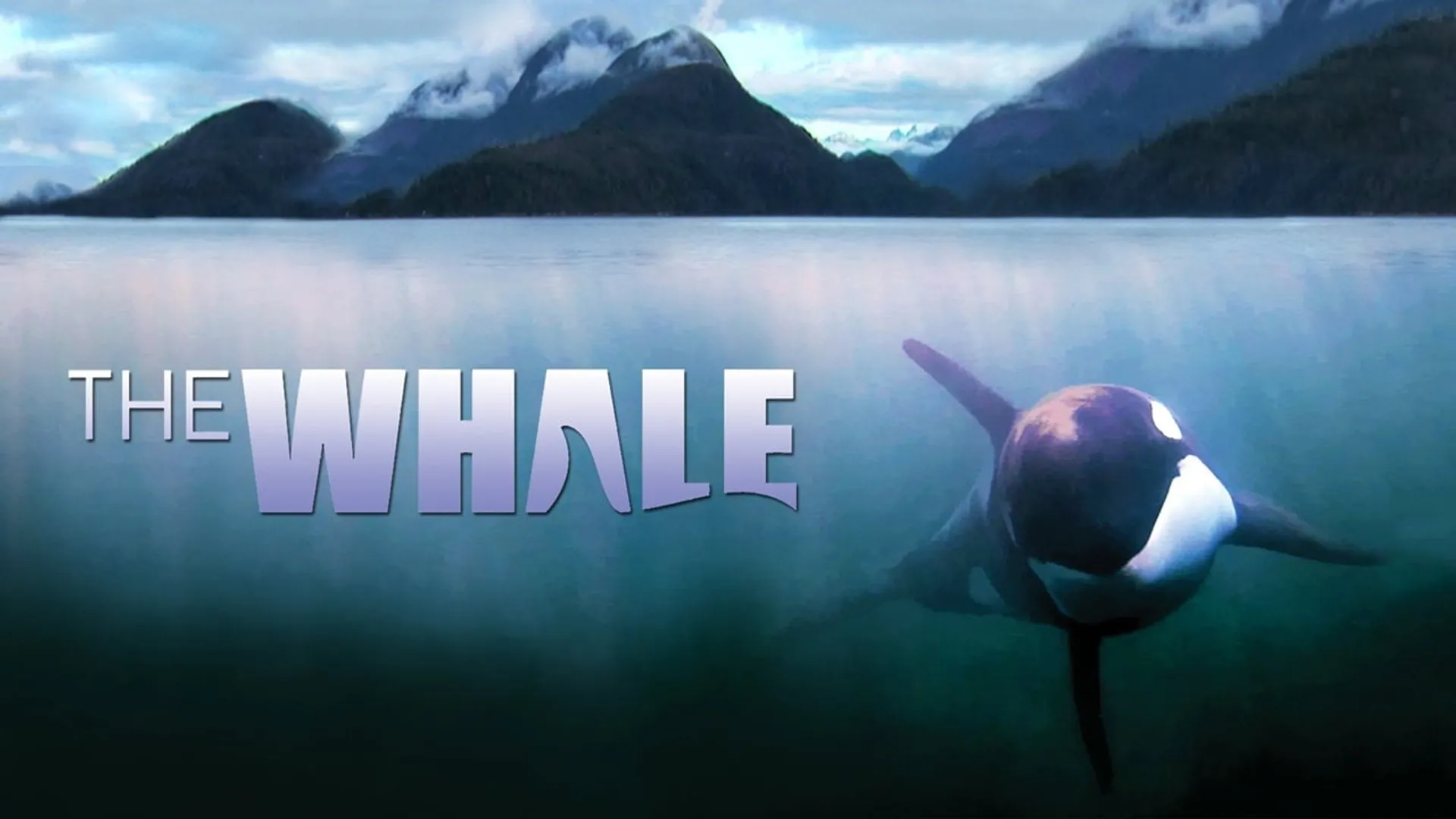 Delving into the Depths of 'The Whale (2011) - UpNext by Reelgood