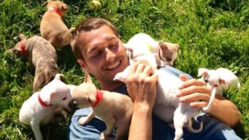 How to watch Lucky Dog: Reunions in Canada on CBS for free