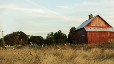 How to Watch Farm Crime Season 3 in USA on CBC Gem