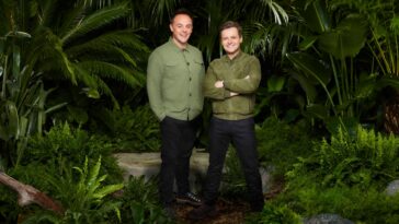 Hpw to watch I'm a Celebrity... Get Me Out of Here! on ITVX