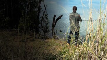 How to watch Revealed: The Cape on Stan