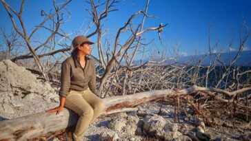 How to watch Liz Bonnin’s Wild Caribbean in the US on BBC iPlayer