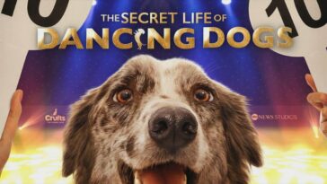 How to watch The Secret Life of Dancing Dogs on Hulu