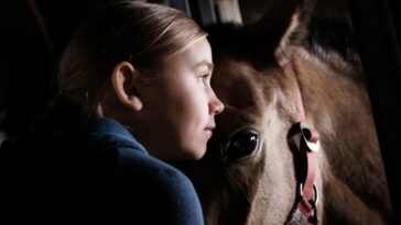 How to watch Little Wing on Stan