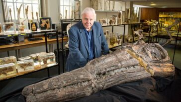 How to watch Attenborough and the Giant Sea Monster on BBC iPlayer