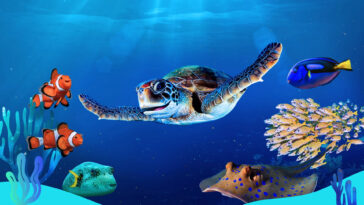 How to watch Reef School Season 2 on ABC iView