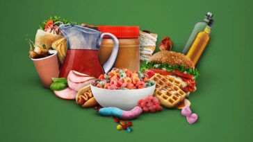 How to watch The Food That Built America Season 5 on fuboTV