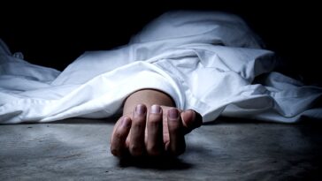 How to watch Snapped: Killer Couples Season 17 on Peacock