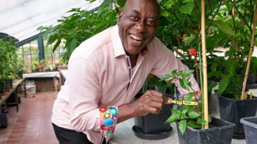 How to watch Ainsley's National Trust Cook Off on ITVX