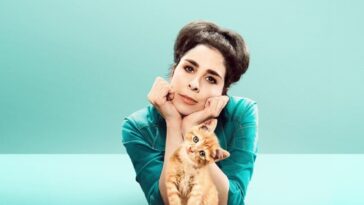 How to watch Stupid Pet Tricks outside the US on Max