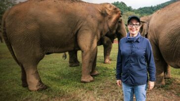 How to watch Sue Perkins: Lost in Thailand on Channel 5