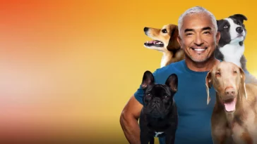 How to watch Cesar Millan: Better Human, Better Dog Season 4