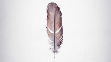 How to watch Tickled (2016) on Netflix