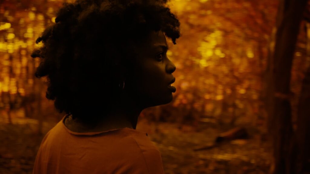 How to watch A Song from the Dark in the US on Prime Video