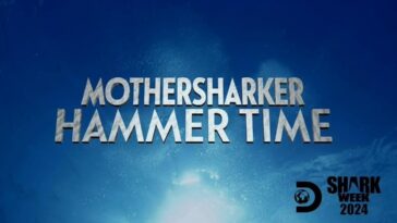 How to watch Mothersharker: Hammertime on Max