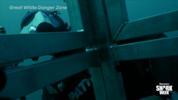 How to watch Great White Danger Zone outside the US on Max