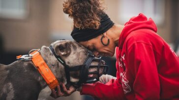 How to watch Death Row Dogs: Save My XL Bully on Channel 4