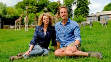How to watch Animal Park Summer 2024 on BBC iPlayer
