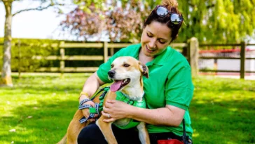 How to watch The Dog House Series 6