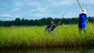 How to watch Bad River (2024)