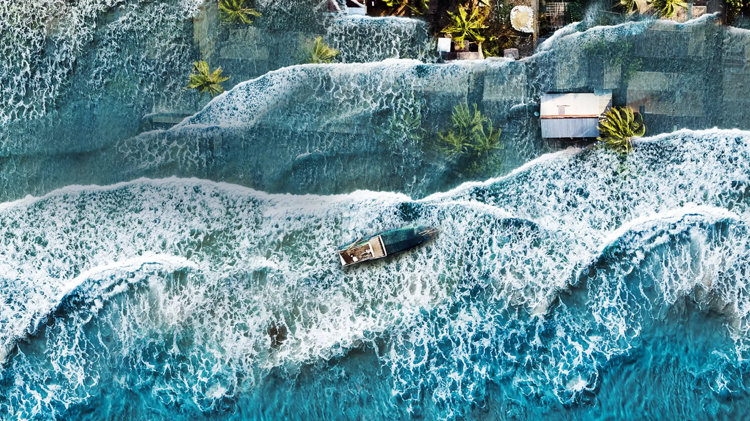 Tsunami race against time