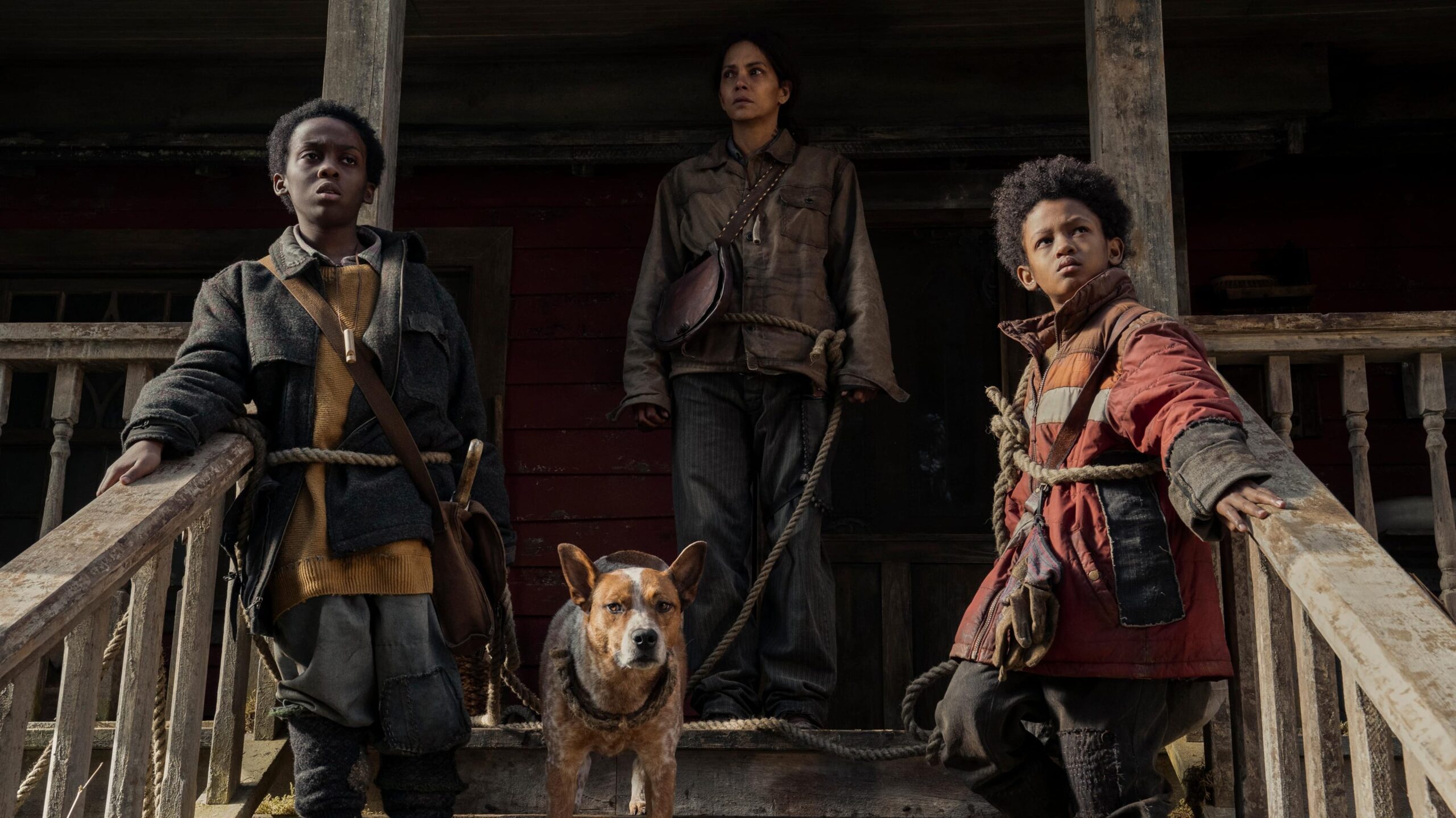 How to watch Never Let Go 2024 from anywhere - UpNext by Reelgood