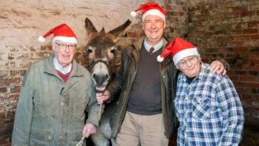 How to watch The Yorkshire Vet: A Donkey for Christmas