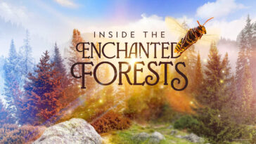How to watch Inside the Enchanted Forests