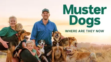How to watch Muster Dogs: Where Are They Now