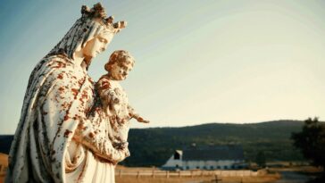 How to watch Sugarcane