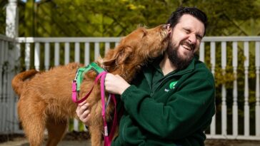 How to watch The Dog House Series 7