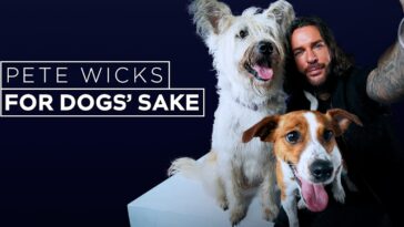 How to watch Pete Wicks: For Dogs' Sake