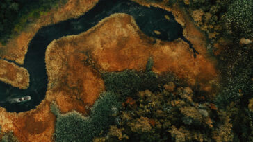 How to watch Swamp People: Serpent Invasion Season 5