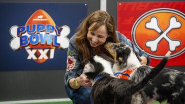 How to watch Puppy Bowl XXI