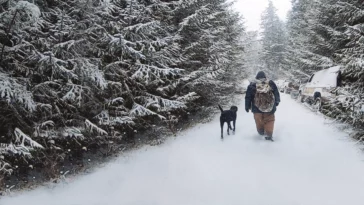 How to watch Port Protection Alaska Season 8