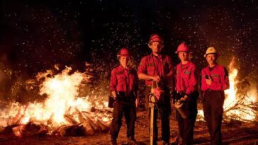 How to Watch the Knowledge Original Wildfire Season 1
