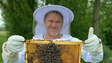 How to watch The Secret Life of Bees Series 1