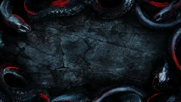 How to watch WWE Backlash 2025 live