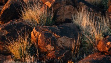 How to watch Alone Season 12