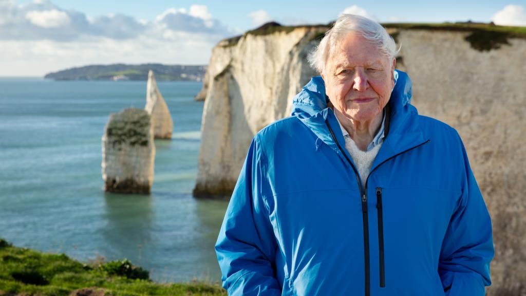 How to watch Ocean With David Attenborough