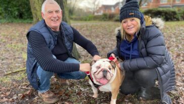 How to watch The Yorkshire Vet: At Home with the Greens Series 2