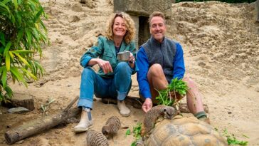 How to watch Animal Park Summer 2025