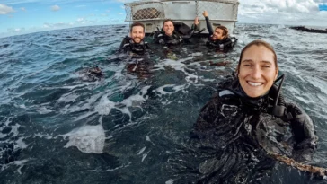 How to watch Shipwreck Hunters Australia Season 2