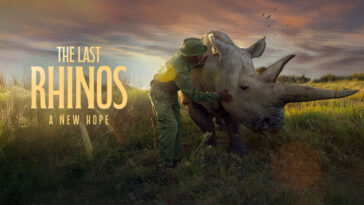 How to watch The Last Rhinos: A New Hope