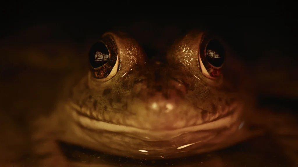 How to watch Nightmares of Nature Season 1 from anywhere