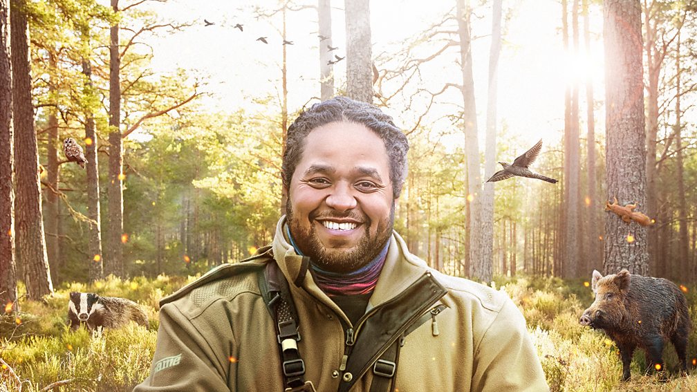 How to watch Hamza’s Hidden Wild Isles outside the UK