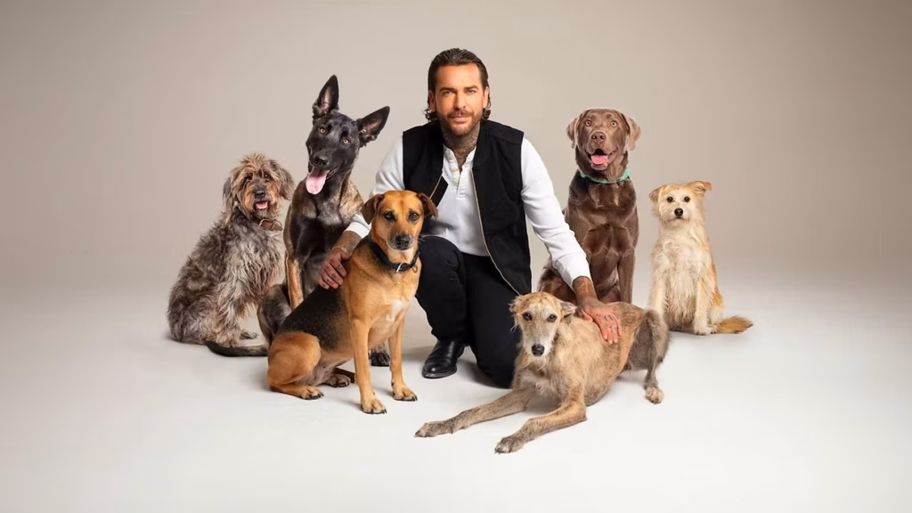How to watch Pete Wicks: For Dogs’ Sake Series 2 outside the UK