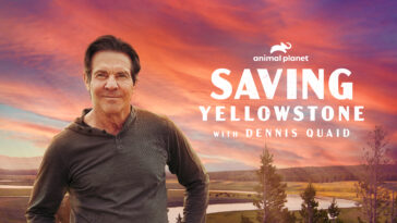 How to watch Saving Yellowstone with Dennis Quaid