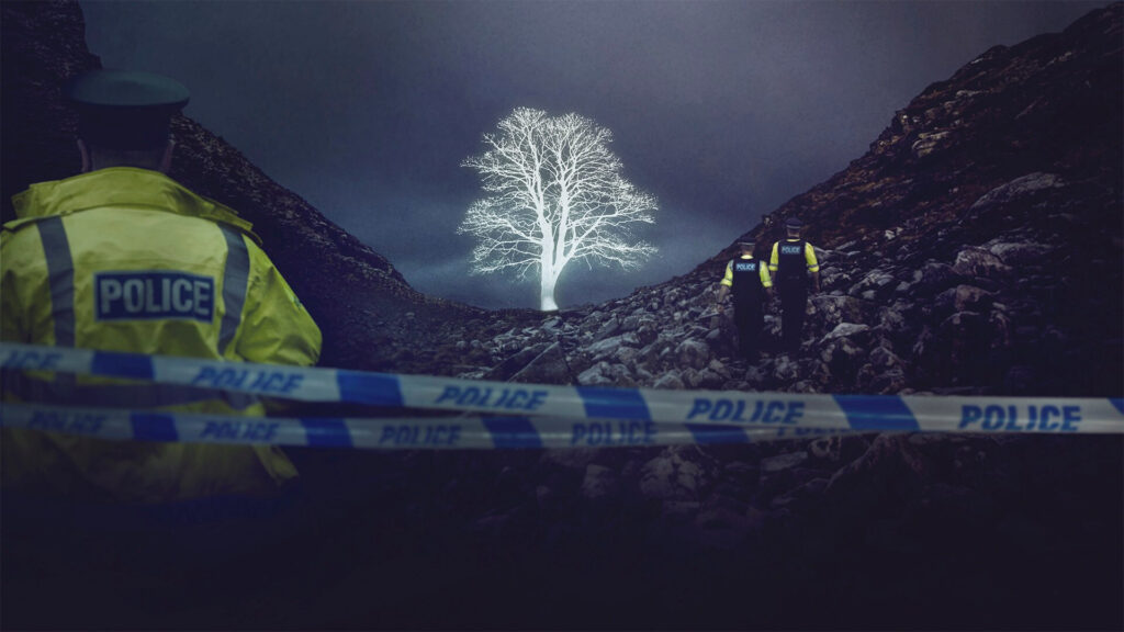 How to watch The Sycamore Gap Mystery outside the UK