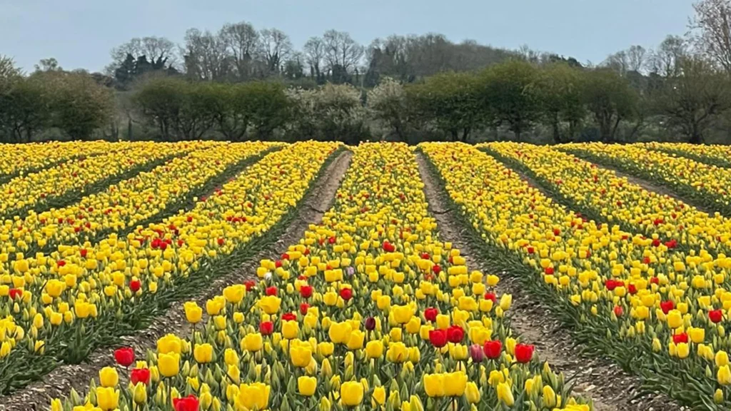 How to watch Britain’s Most Scenic Counties Season 3